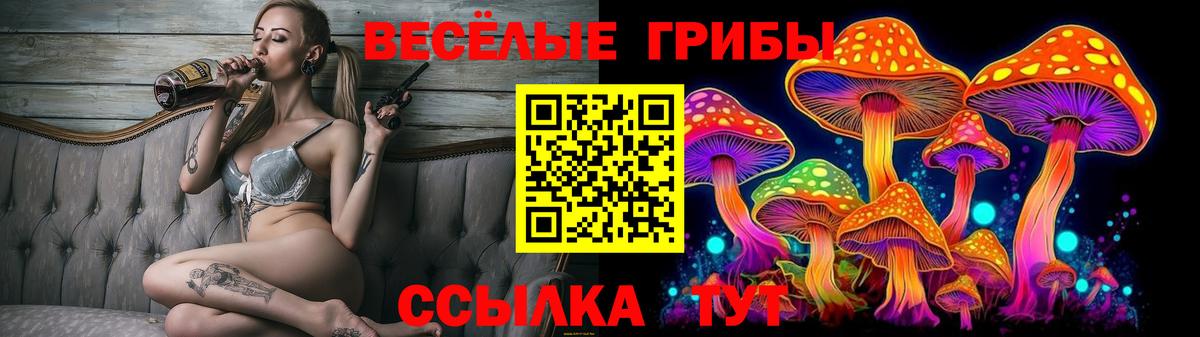 Галлюциногенные грибы MAGIC MUSHROOMS  Вход с VPN  Черкесск 